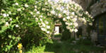 jardin03