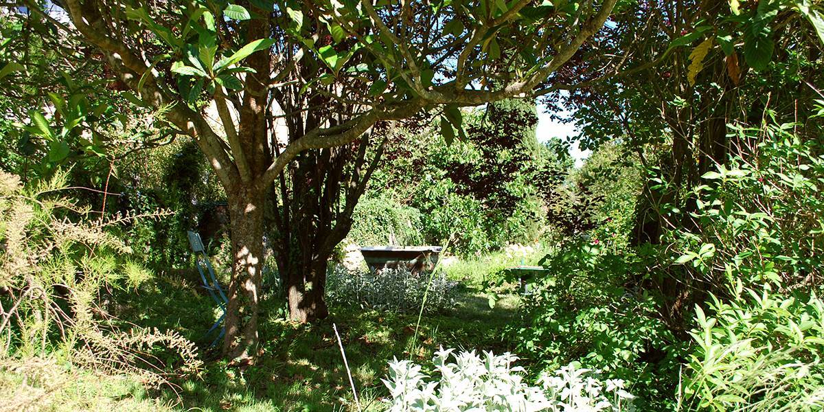 Vue de l'intérieur du jardin